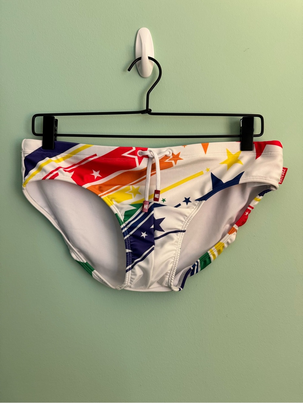 Men’s Estevez Super Proud Rainbow Swim Briefs - Large (32-34)
